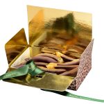 Filetti di Limone al Cioccolato fondente