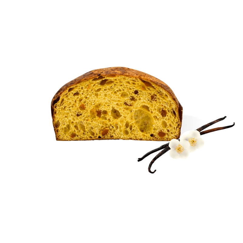 Fetta di panettone con albicocche candite del Vesuvio, Pepe Mastro Dolciere